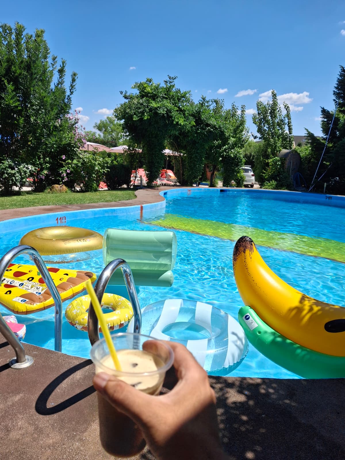 Pool with terrace and garden at Motanul Galanton, Ghermănești Snagov