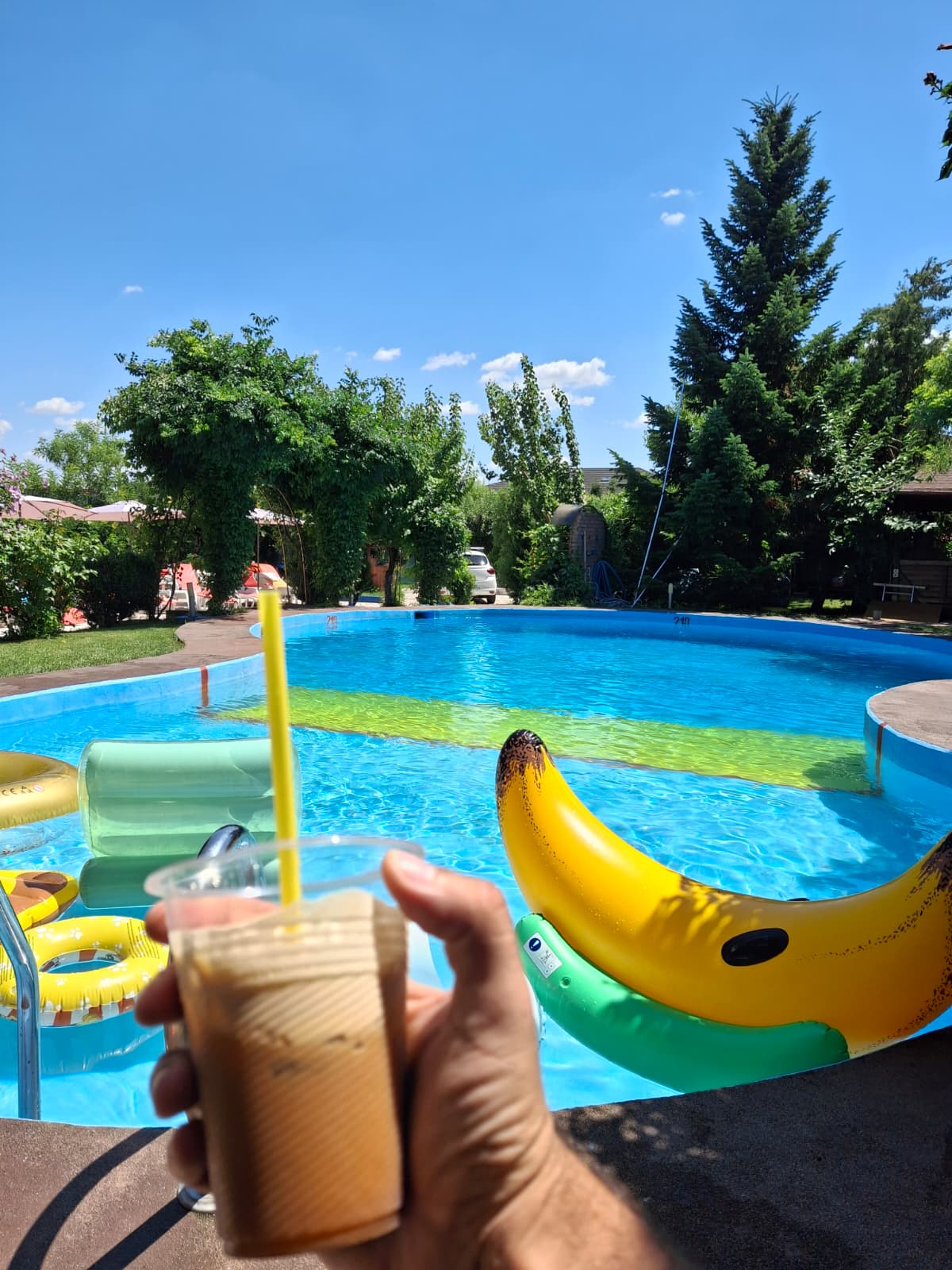 Pool with children's and adults' areas, Ghermănești Snagov
