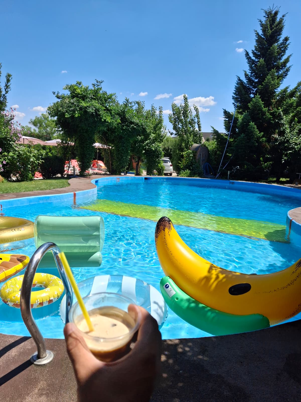 Pool and loungers at Motanul Galanton, Snagov
