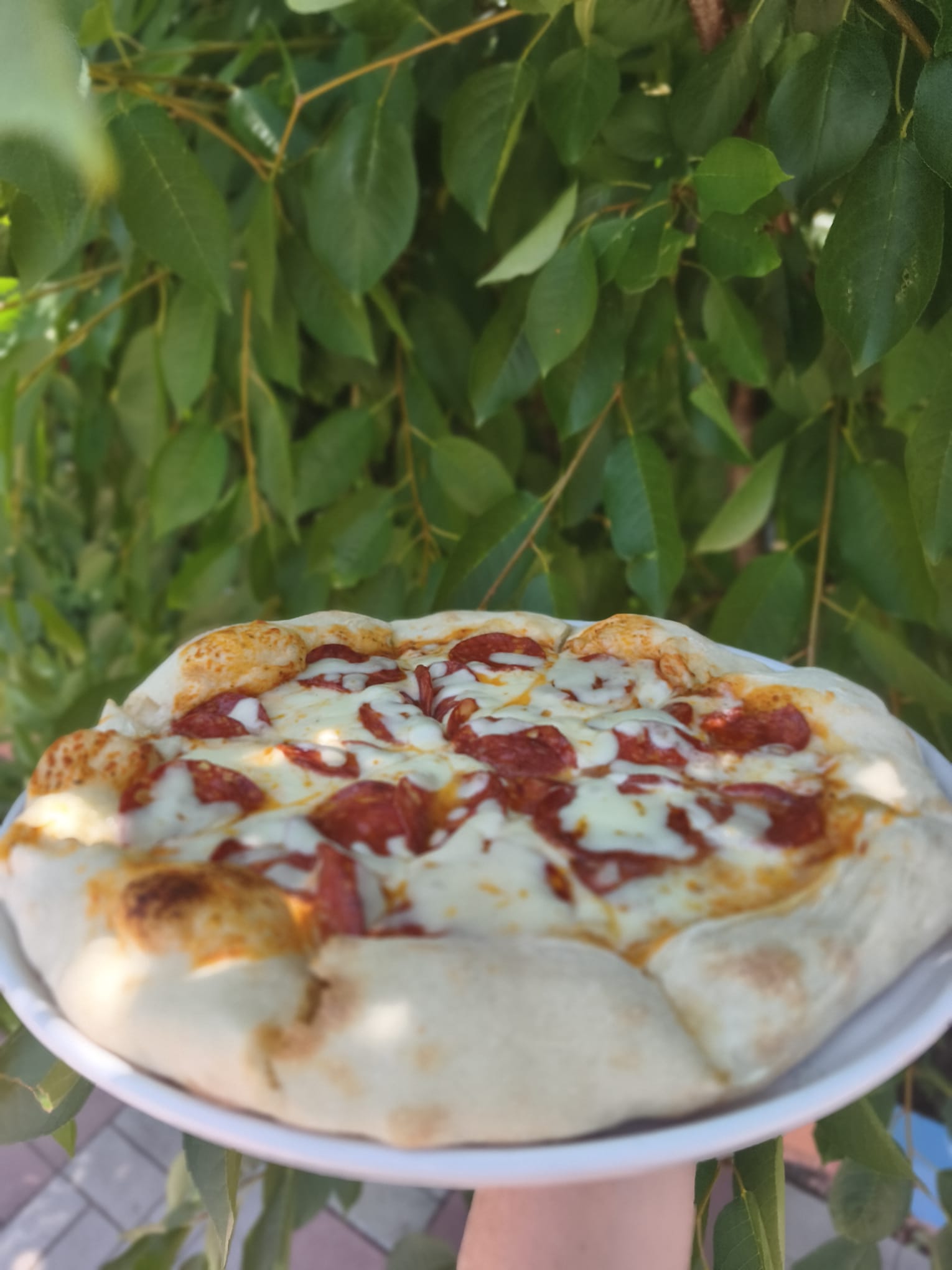 Pizza Salami cu salam chorizo - Motanul Galanton Snagov